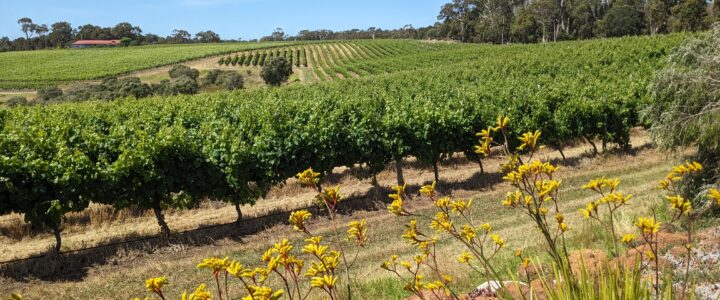 Autour de Margaret River