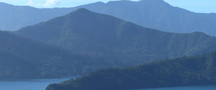 Des moules et des fjords…