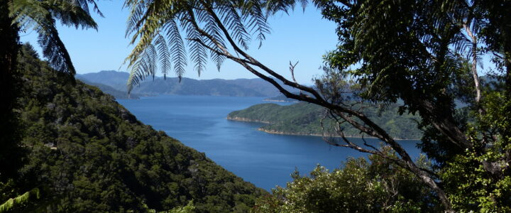 Queen Charlotte track