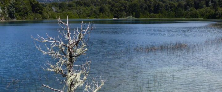 Randonnée entre forêt et lac