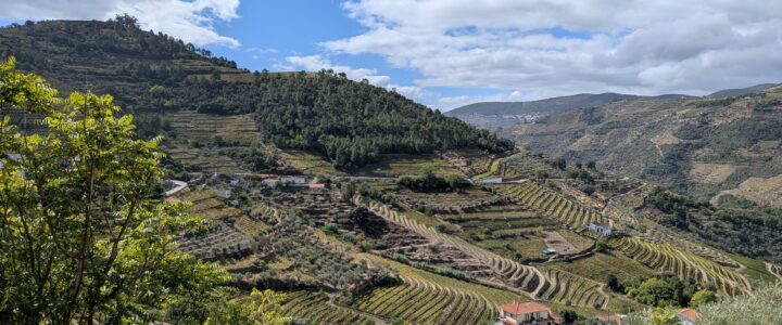 Vertigineux paysages de la vallée du Douro
